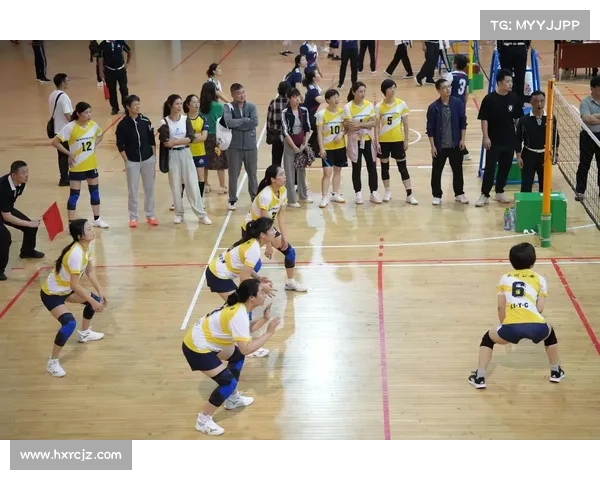 排球比赛视频直播