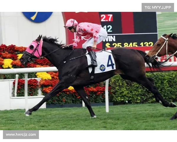 香港赛事-香港国际赛事 香港赛事-香港国际赛事